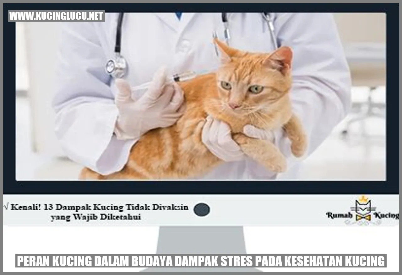 Kucing mengurangi stres