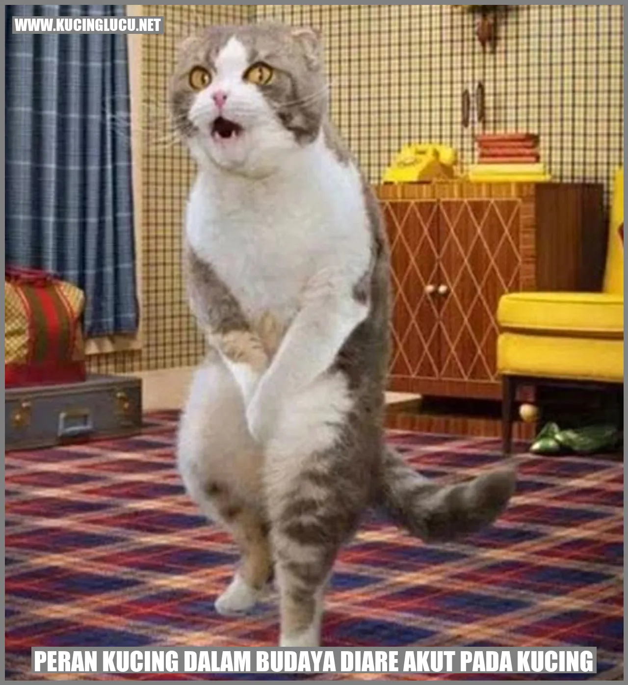 Peran Kucing dalam Budaya diare akut pada kucing