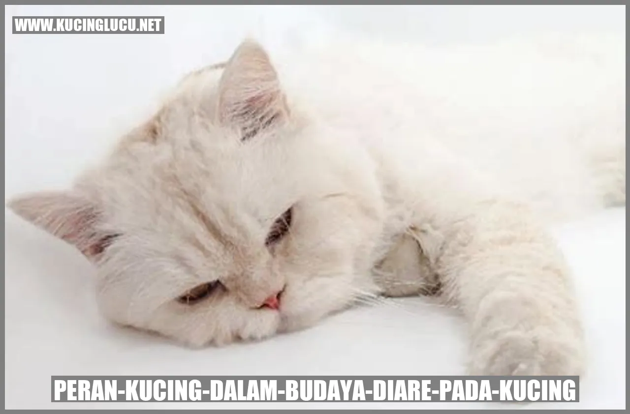 Gambar Kucing