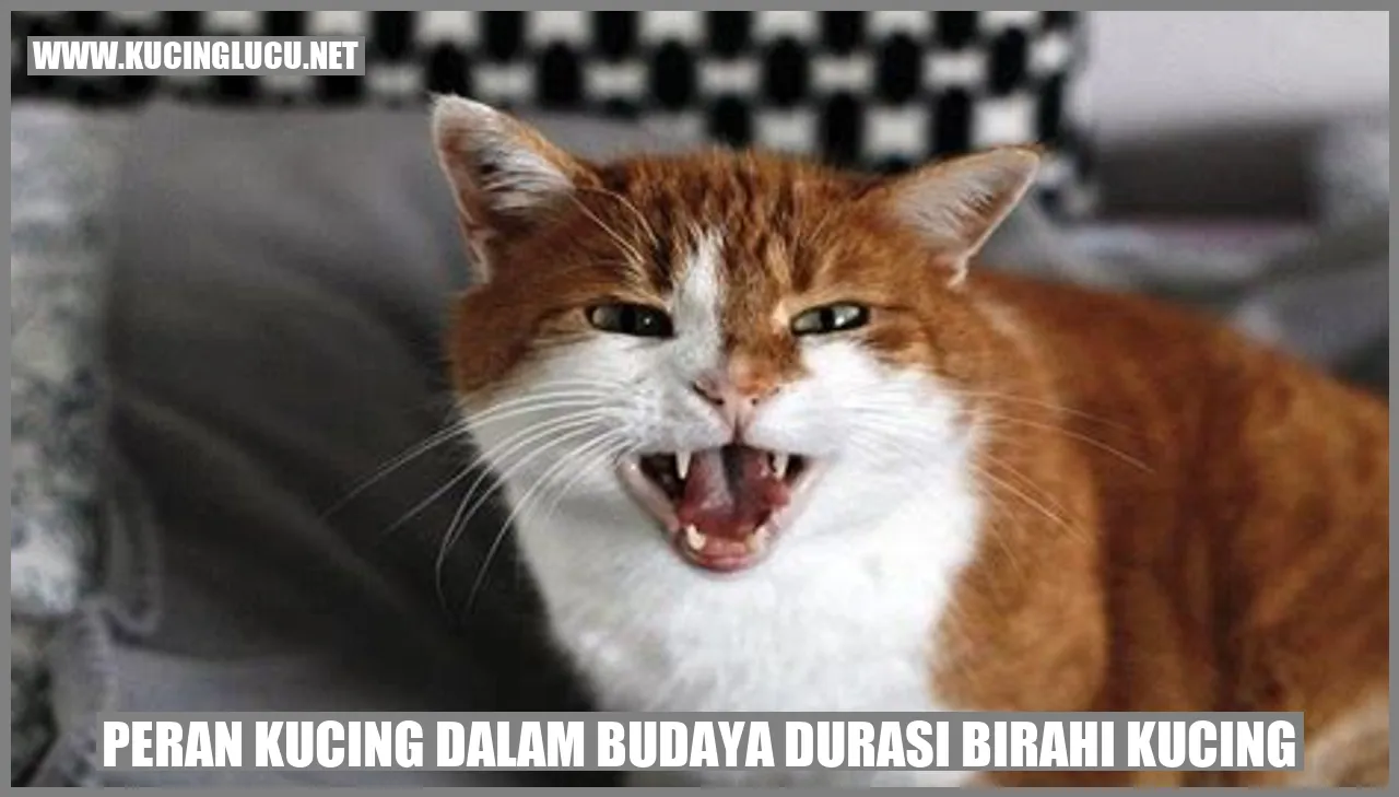Kucing dalam Budaya Durasi Birahi Kucing