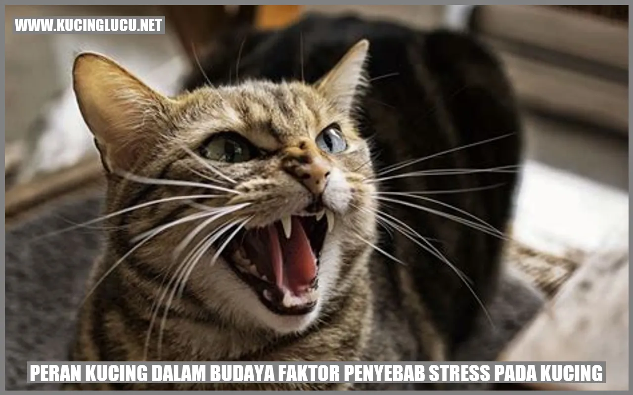 Peran Kucing dalam Budaya faktor penyebab stress pada kucing