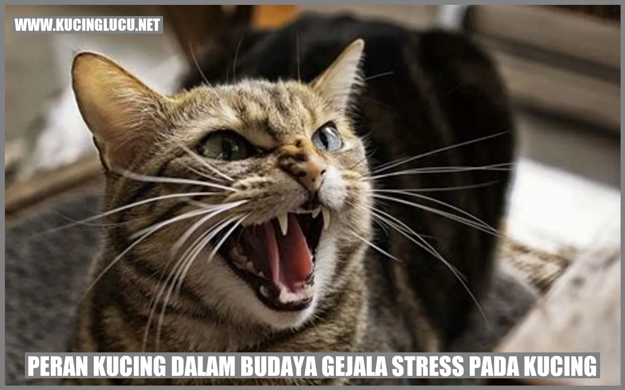 Peran Kucing dalam Budaya gejala stress pada kucing