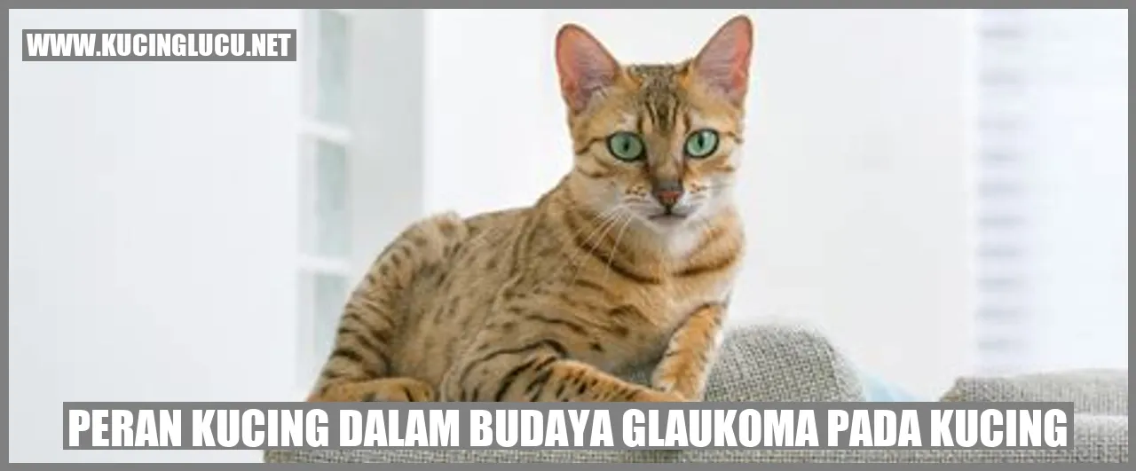 Gambar Kucing