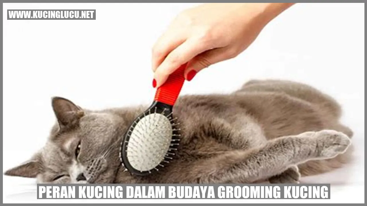 Peran Kucing dalam Budaya Grooming Kucing