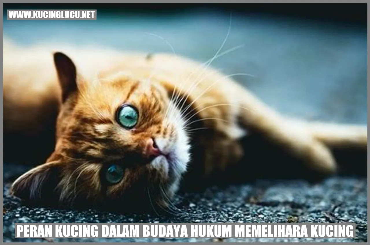 Gambar kucing lucu