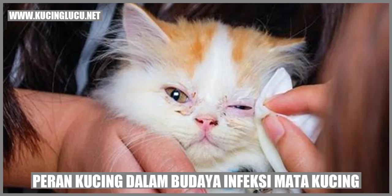 Peran Kucing dalam Budaya infeksi mata kucing