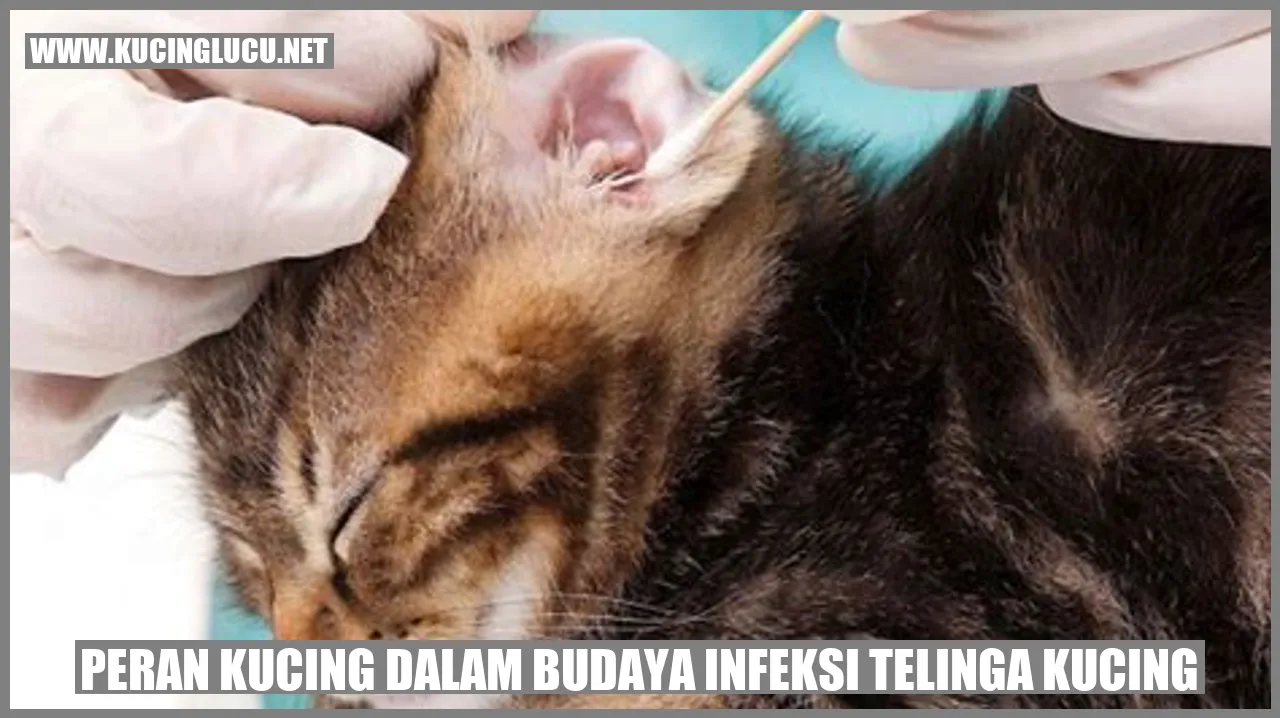 Infeksi Telinga Kucing