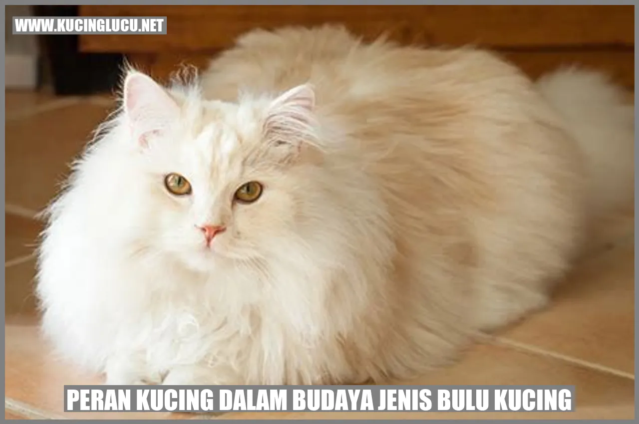 Kucing dengan beragam bulu
