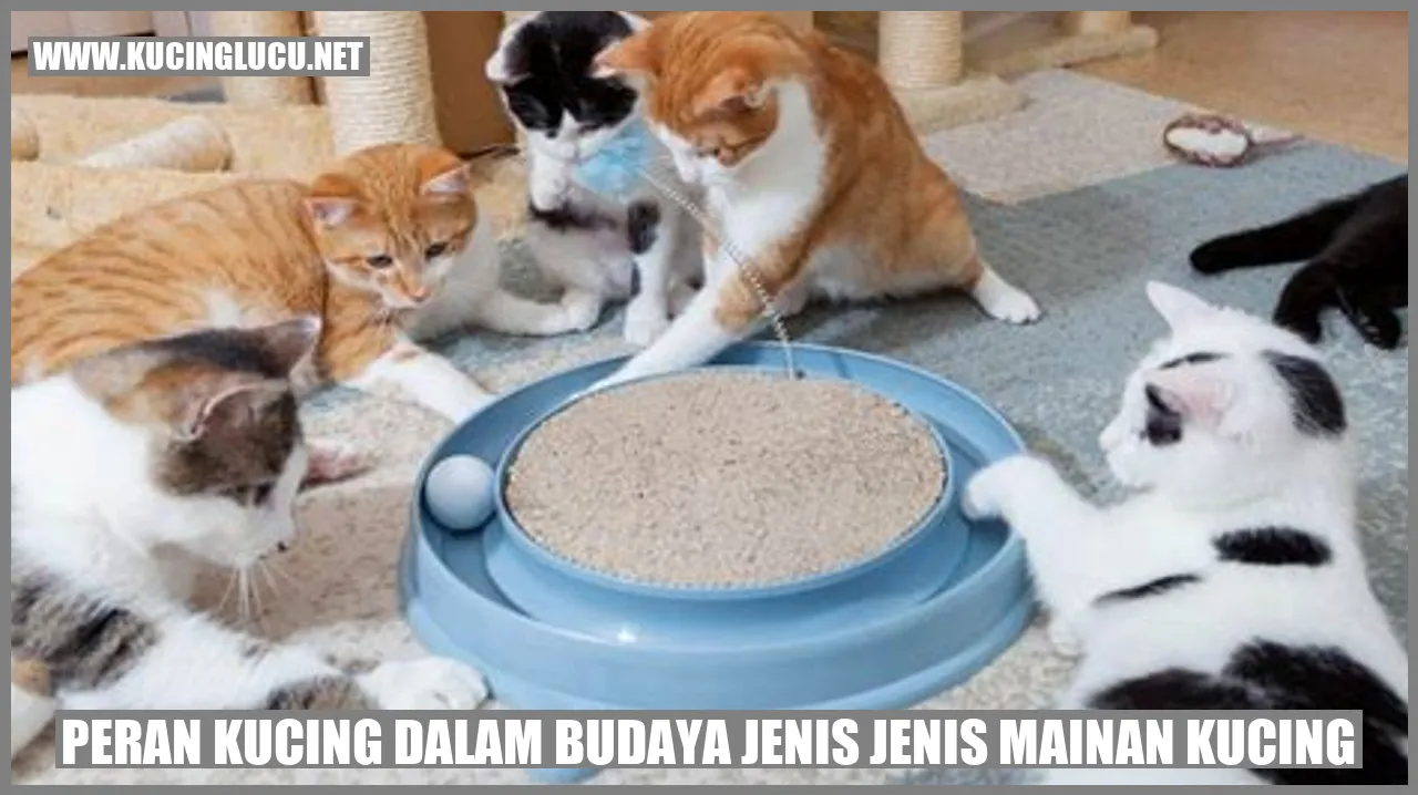 Foto kucing bersama mainan