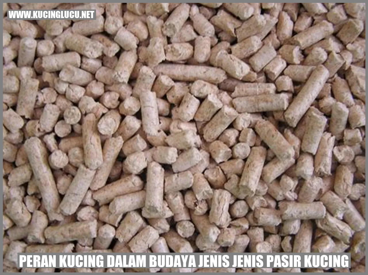Kucing dalam Budaya dan Pasir Kucing