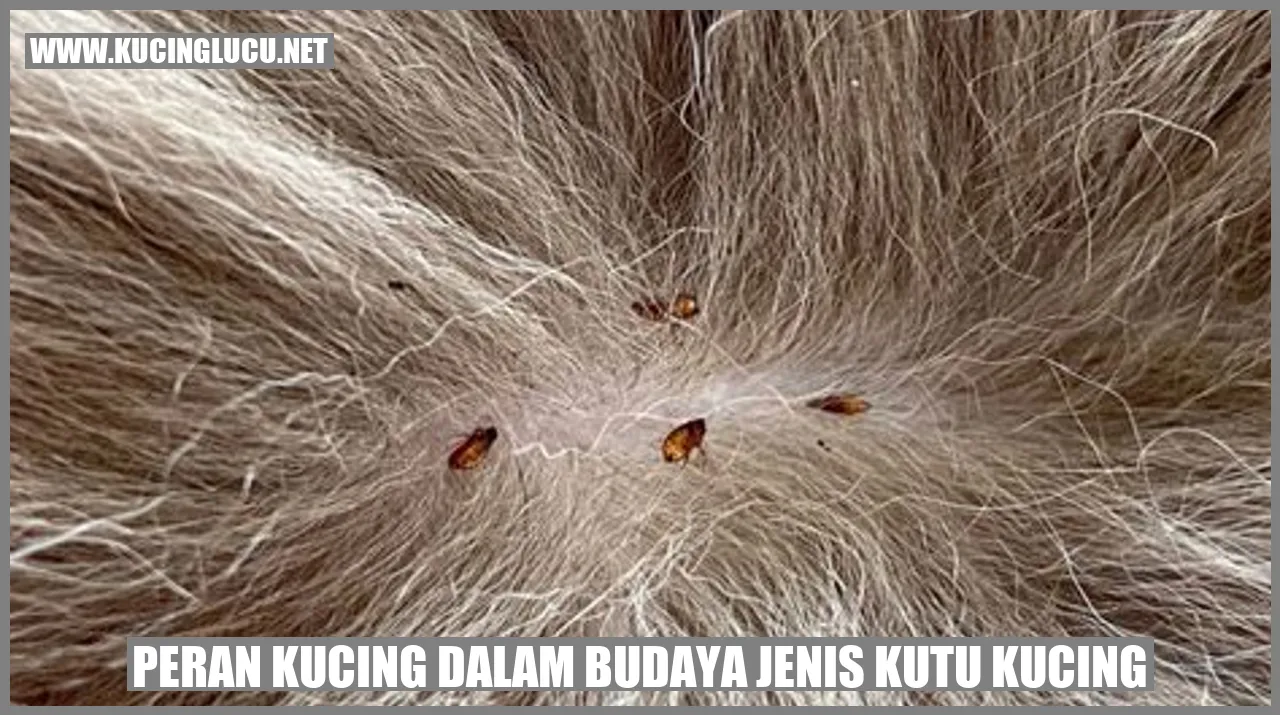 Peran Kucing dalam Budaya jenis kutu kucing