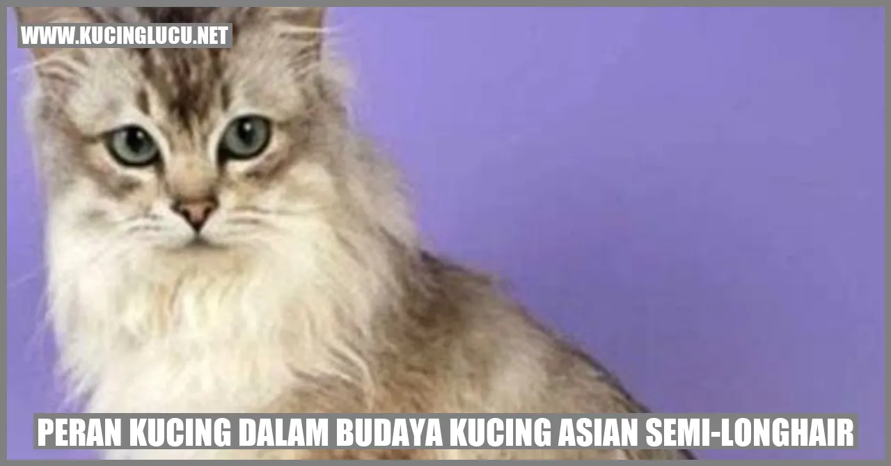 Gambar kucing Asian Semi-Longhair yang cantik