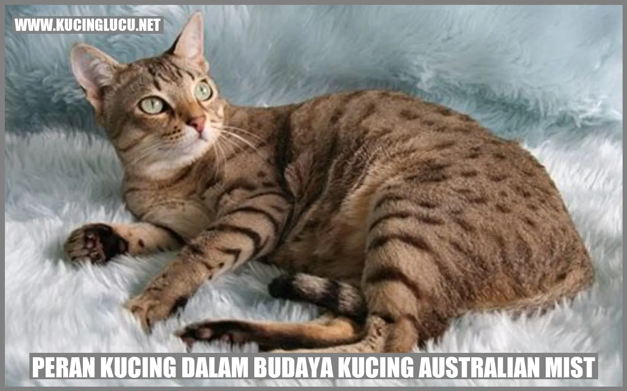 Kucing Australian Mist