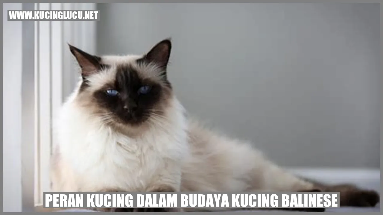 Peran Kucing dalam Budaya Kucing Balinese