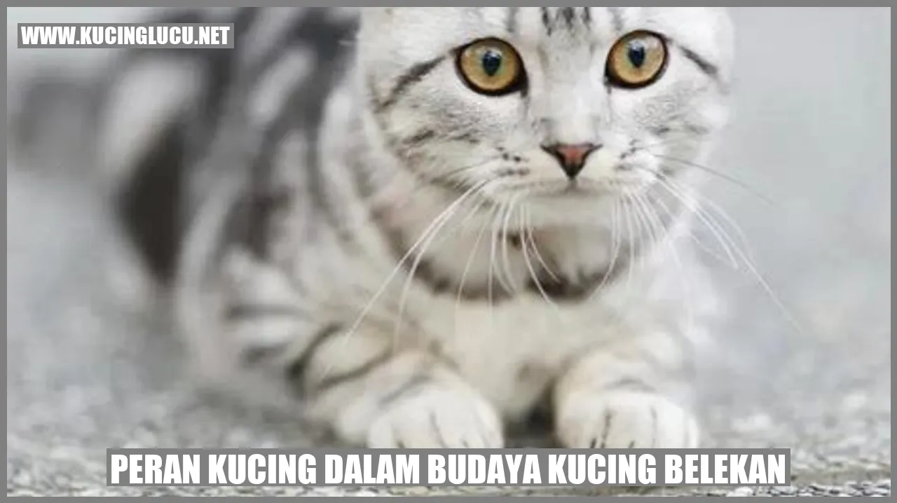Peran Kucing dalam Budaya kucing belekan