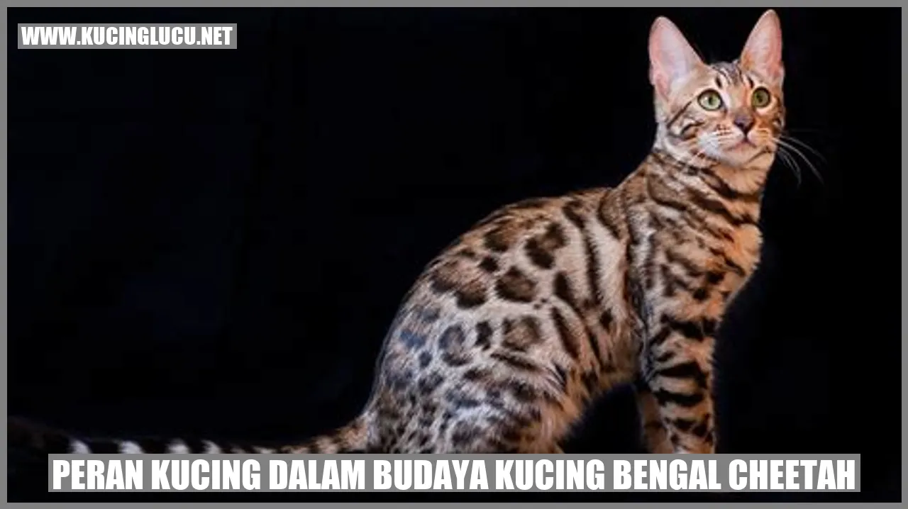 Kucing Bengal Cheetah