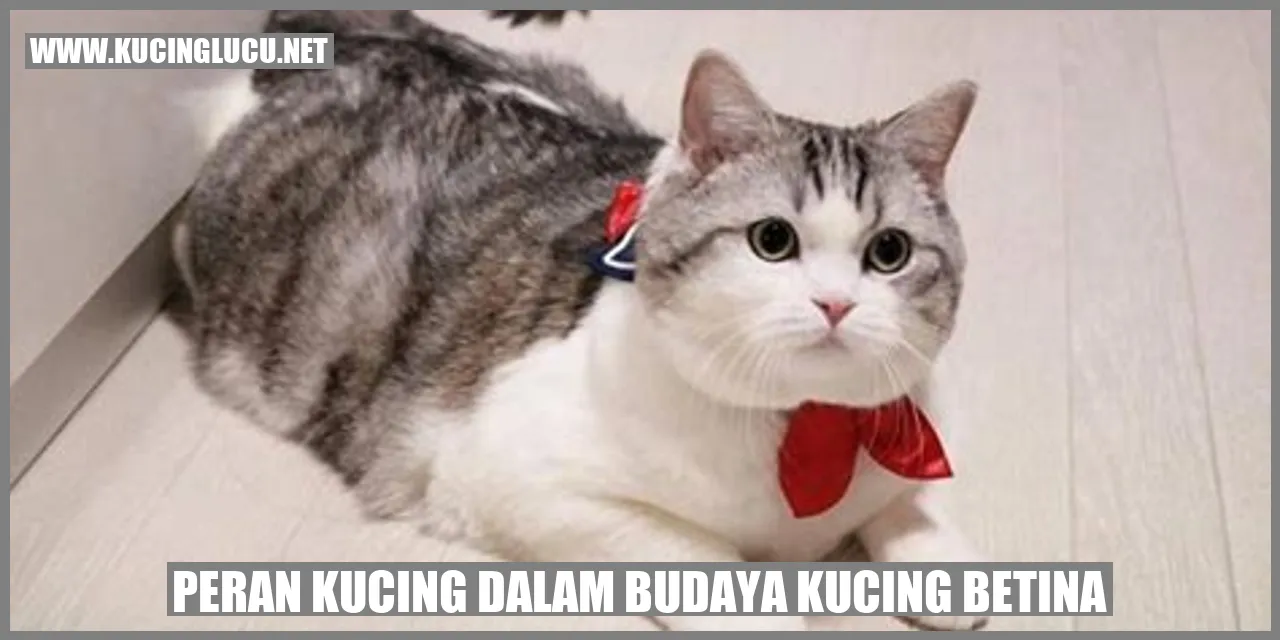 Peran Kucing dalam Budaya Kucing Betina