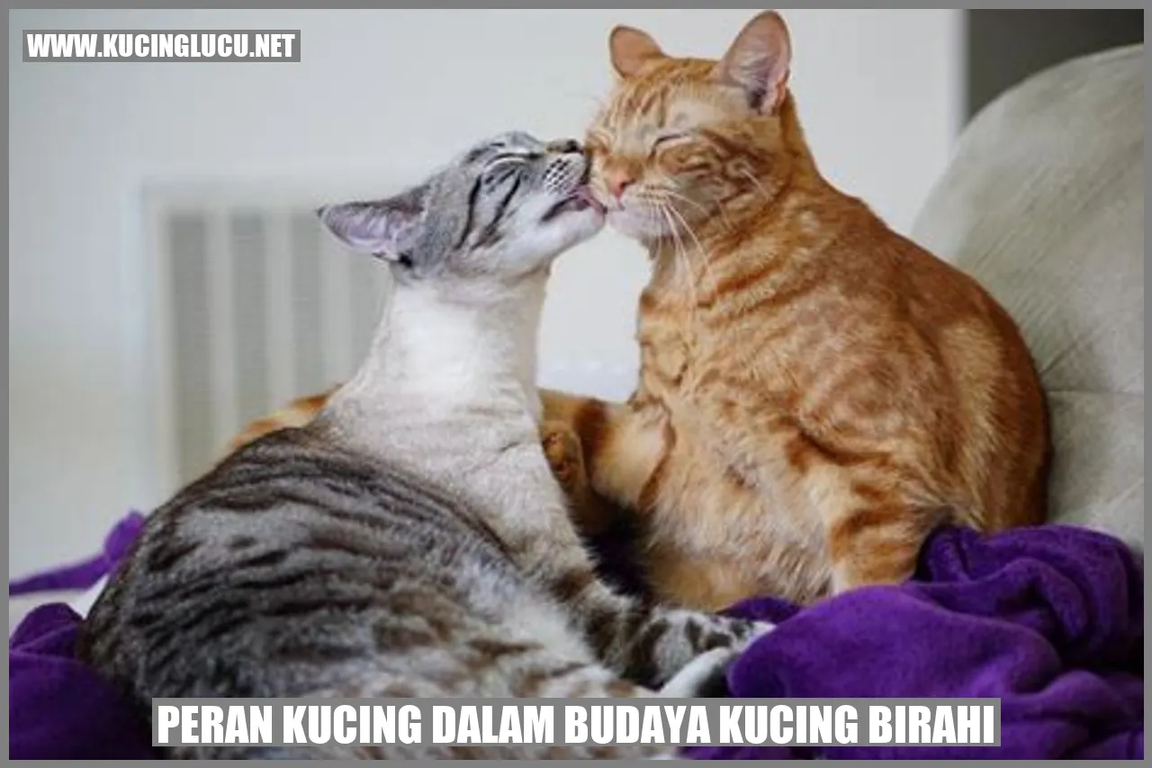 Peran Kucing dalam Budaya kucing birahi
