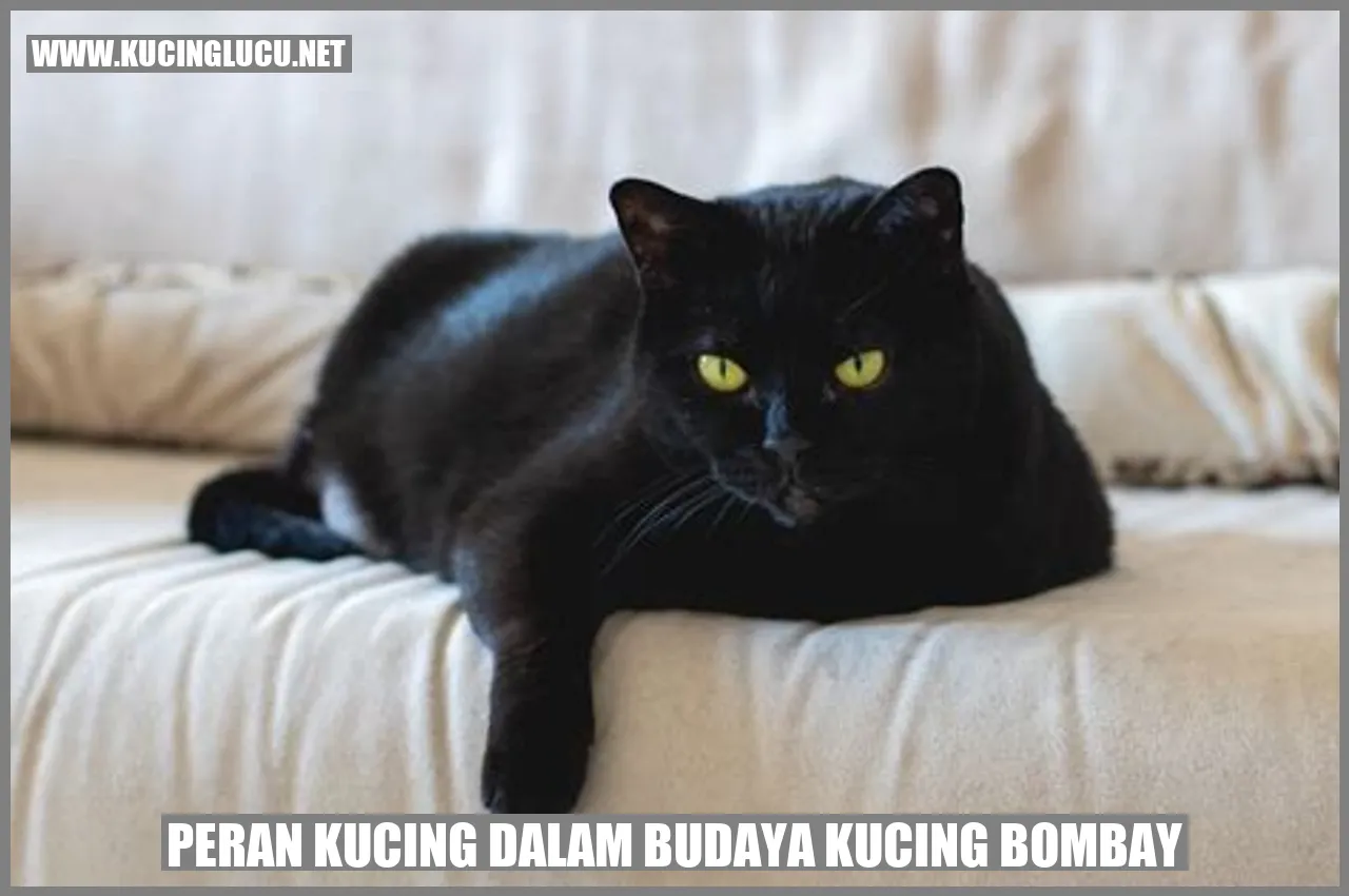 Kucing Bombay