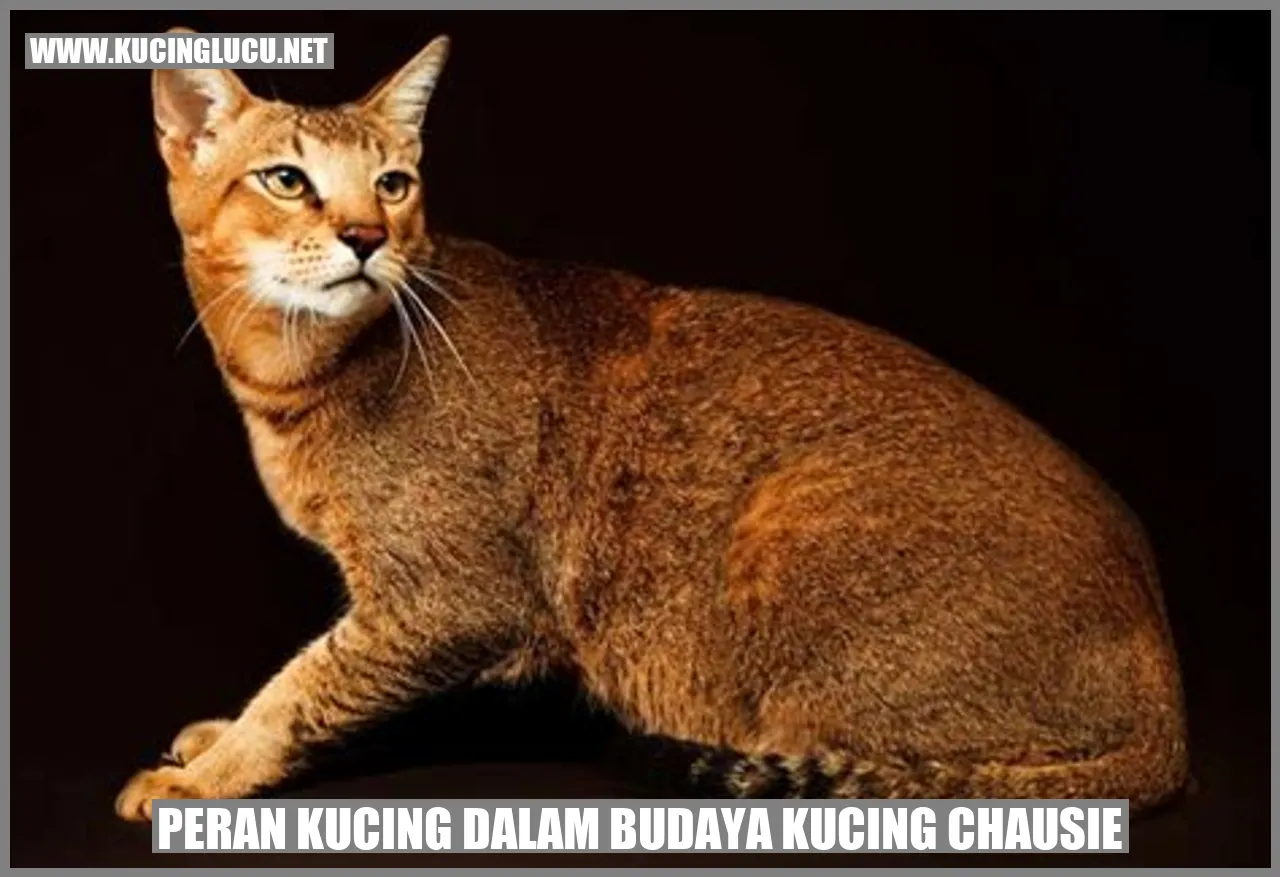 Peran Kucing dalam Budaya Kucing Chausie