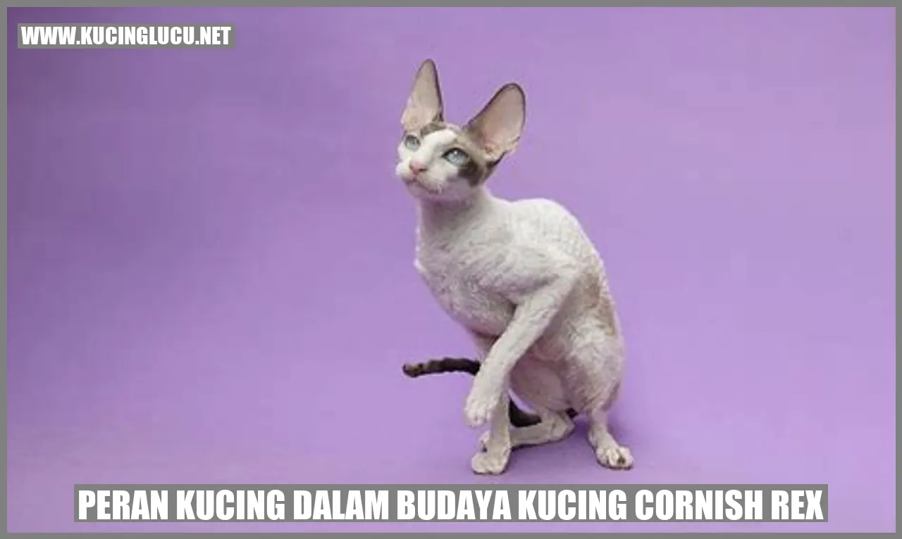 Gambar Kucing Cornish Rex