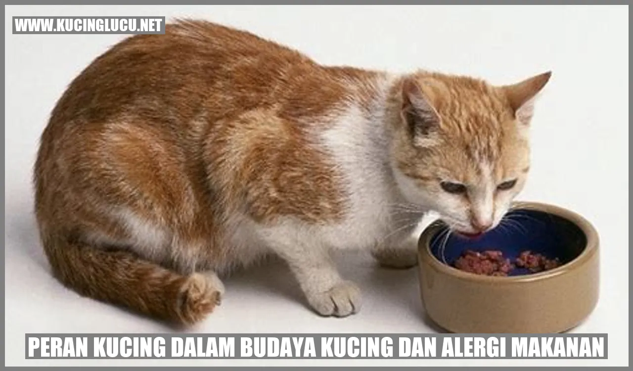 Peran Kucing dalam Budaya Kucing dan alergi makanan