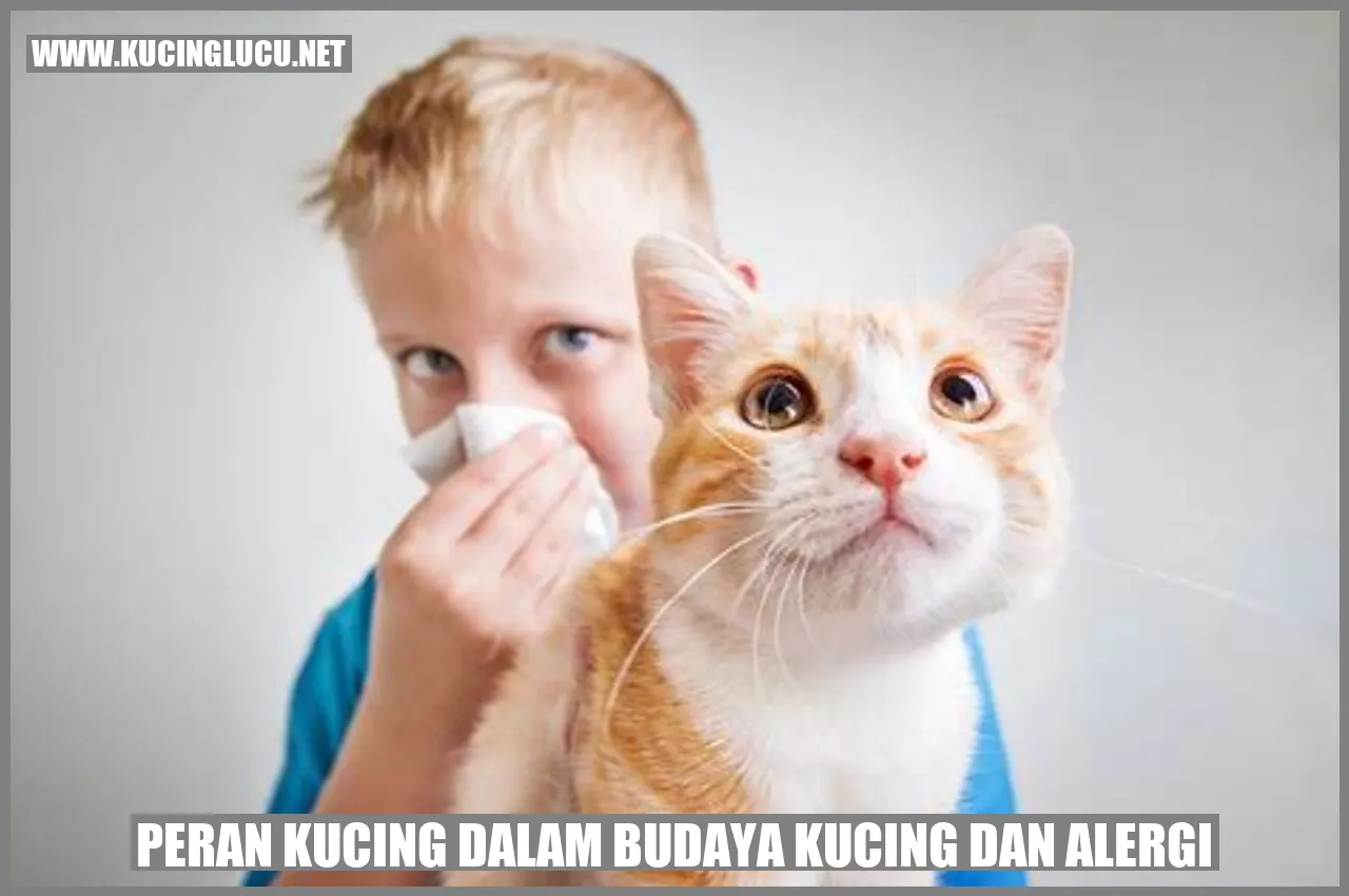 gambar kucing