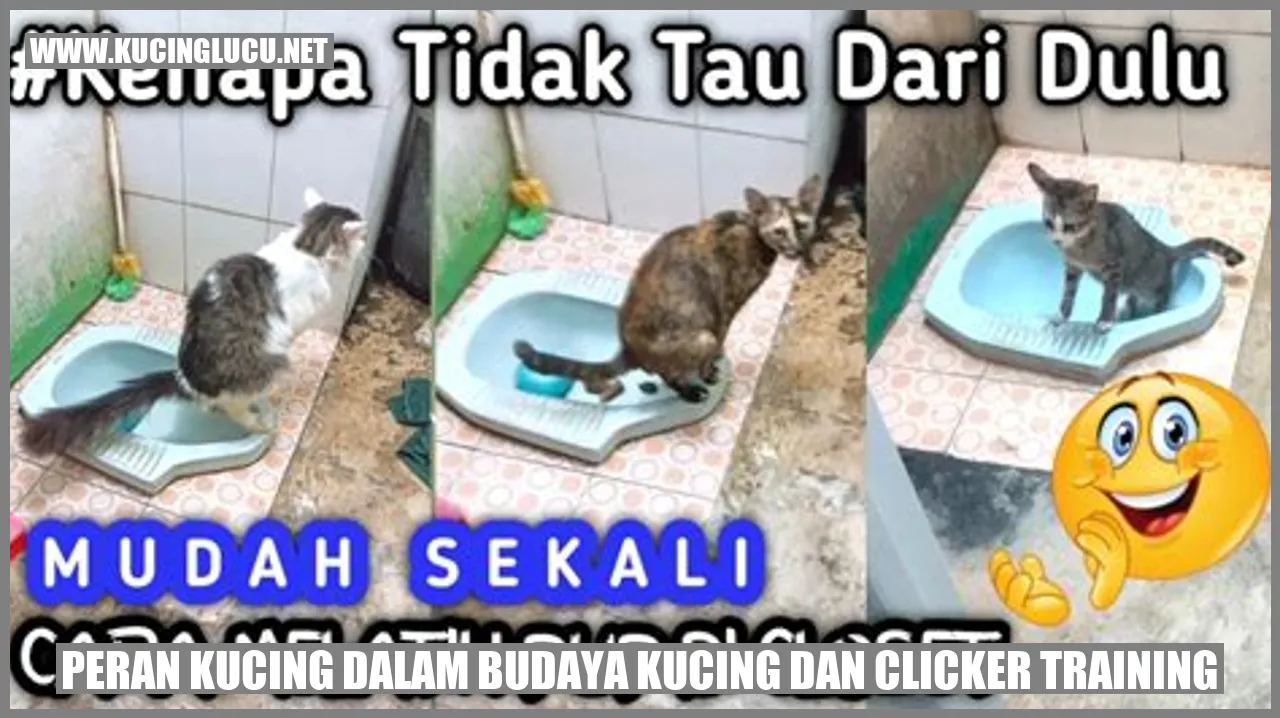gambar kucing