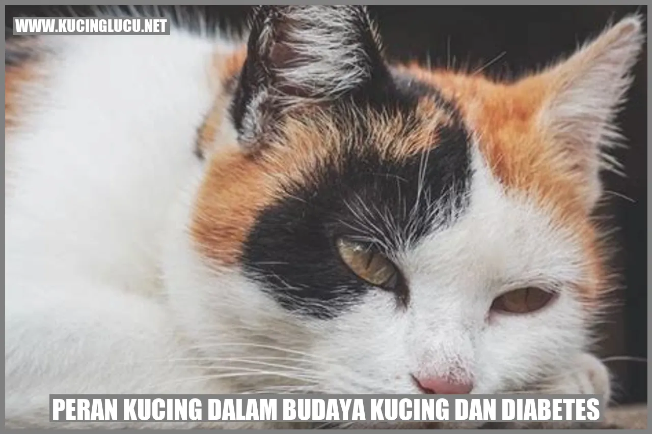 Kucing yang Menggemaskan