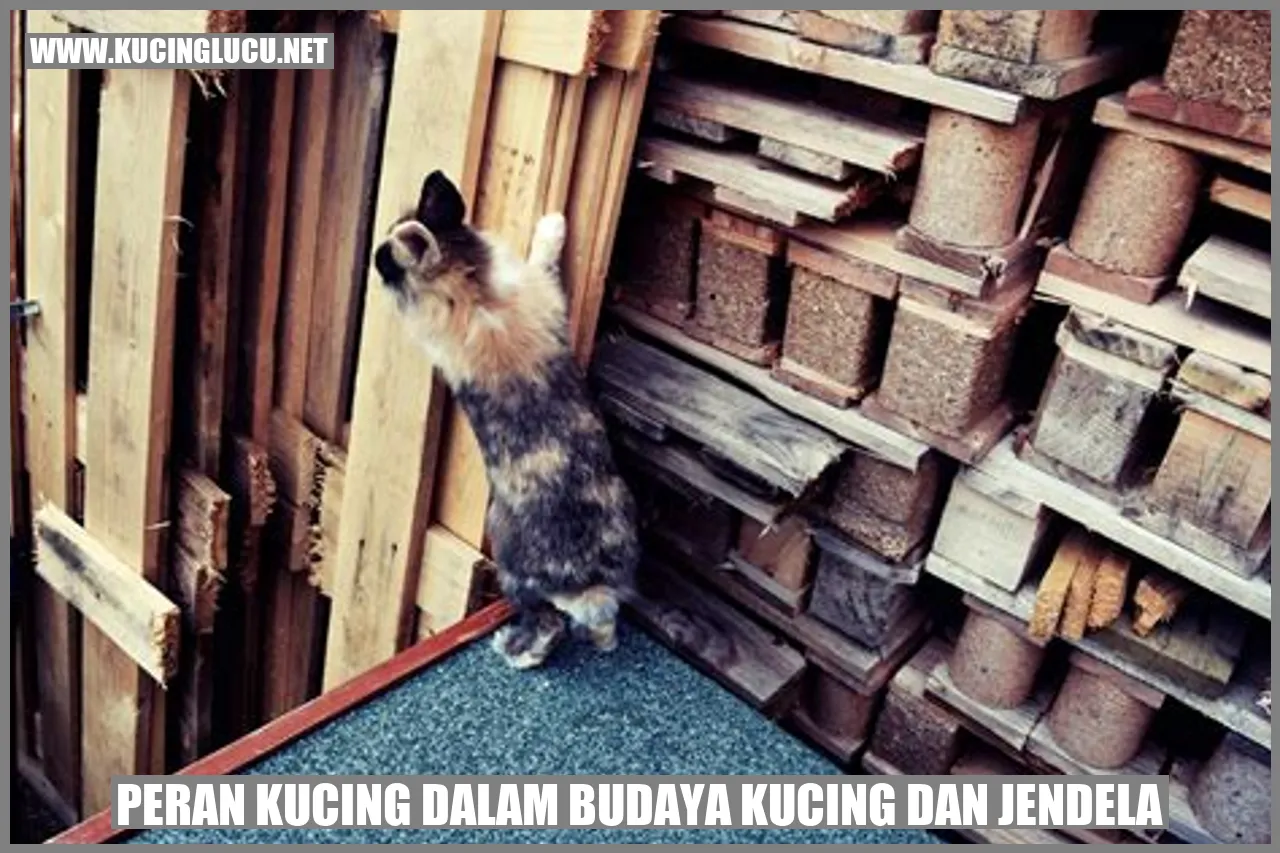 Kucing di jendela