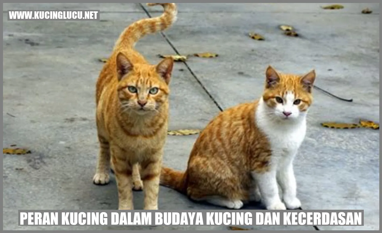 Peran Kucing dalam Budaya Kucing dan kecerdasan