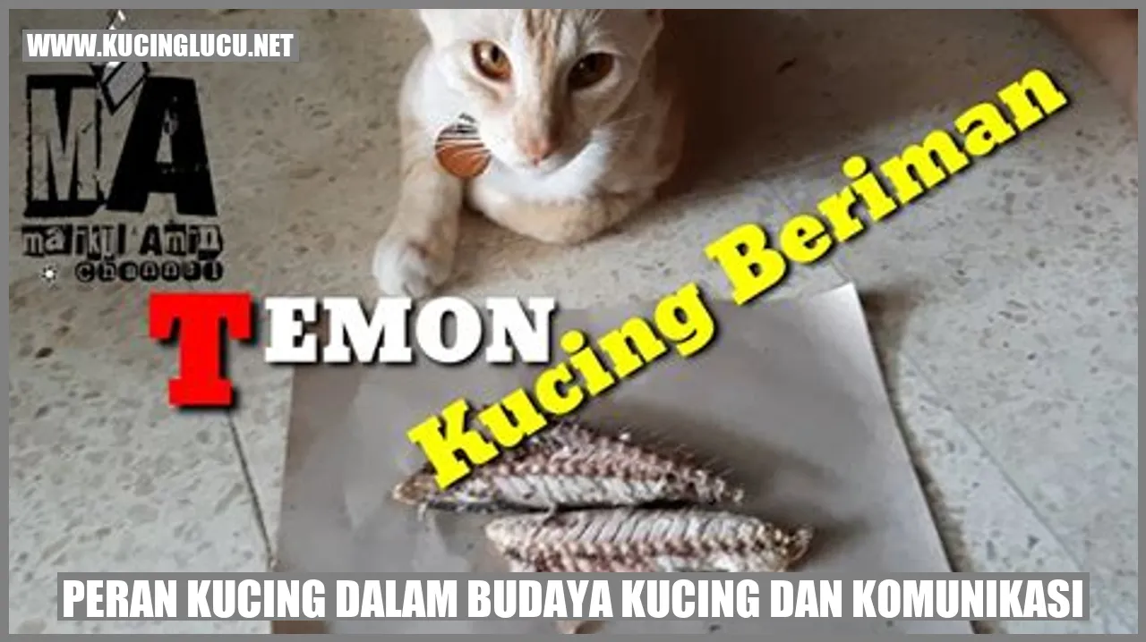 Peran Kucing dalam Budaya Kucing dan komunikasi