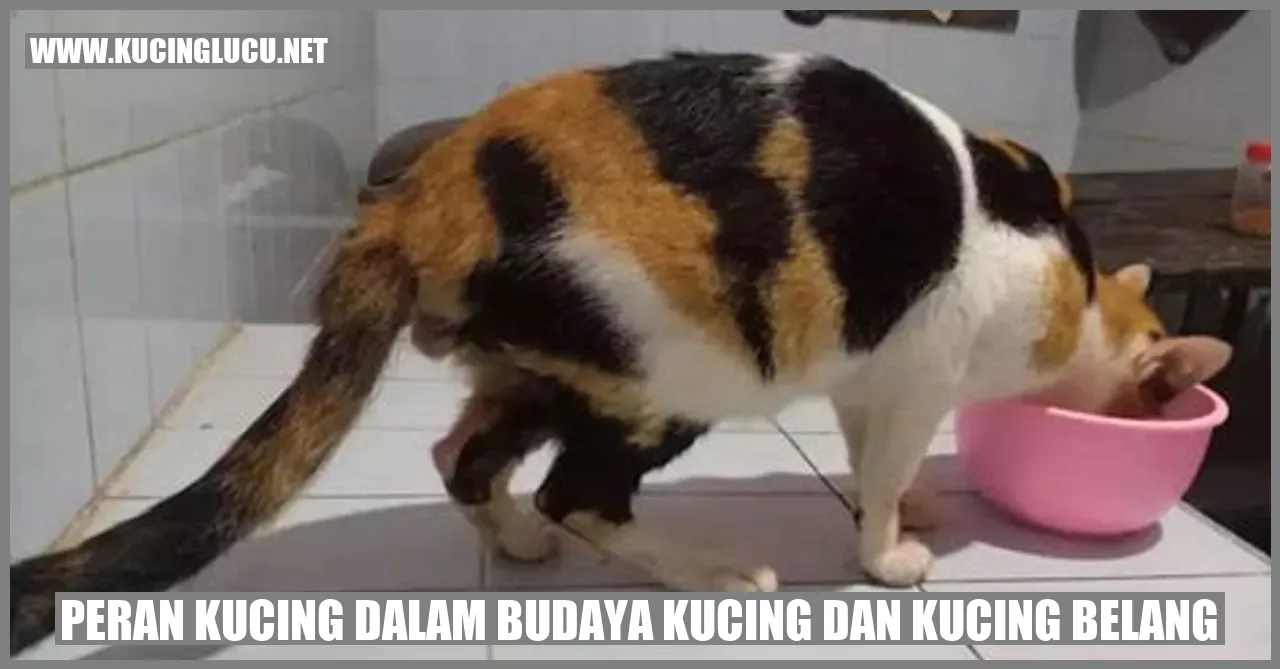 Kucing dan Peran Budaya