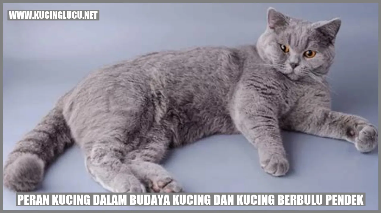 Kucing dalam Budaya Kucing