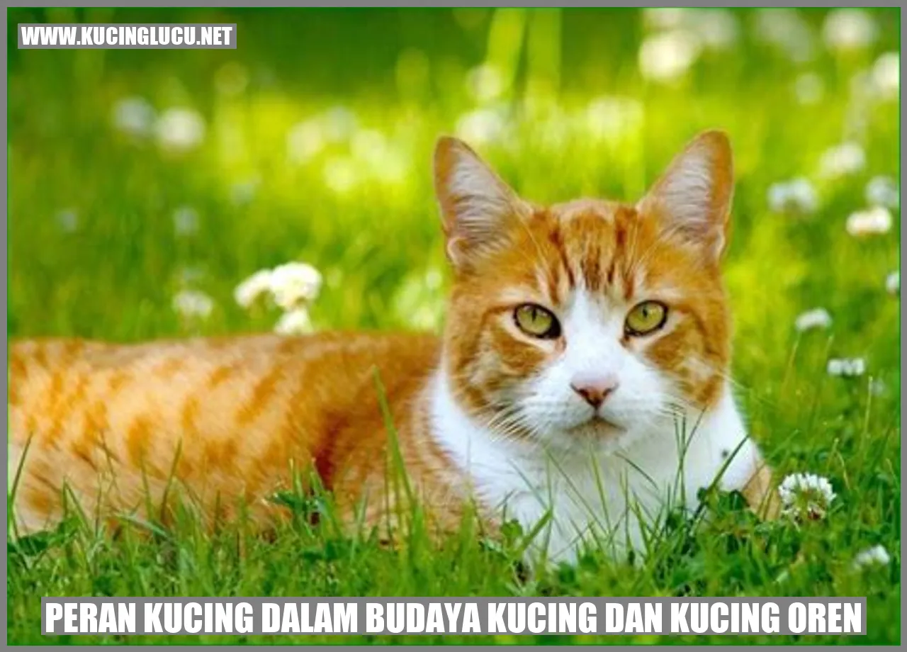 Peran Kucing dalam Budaya Kucing dan kucing oren