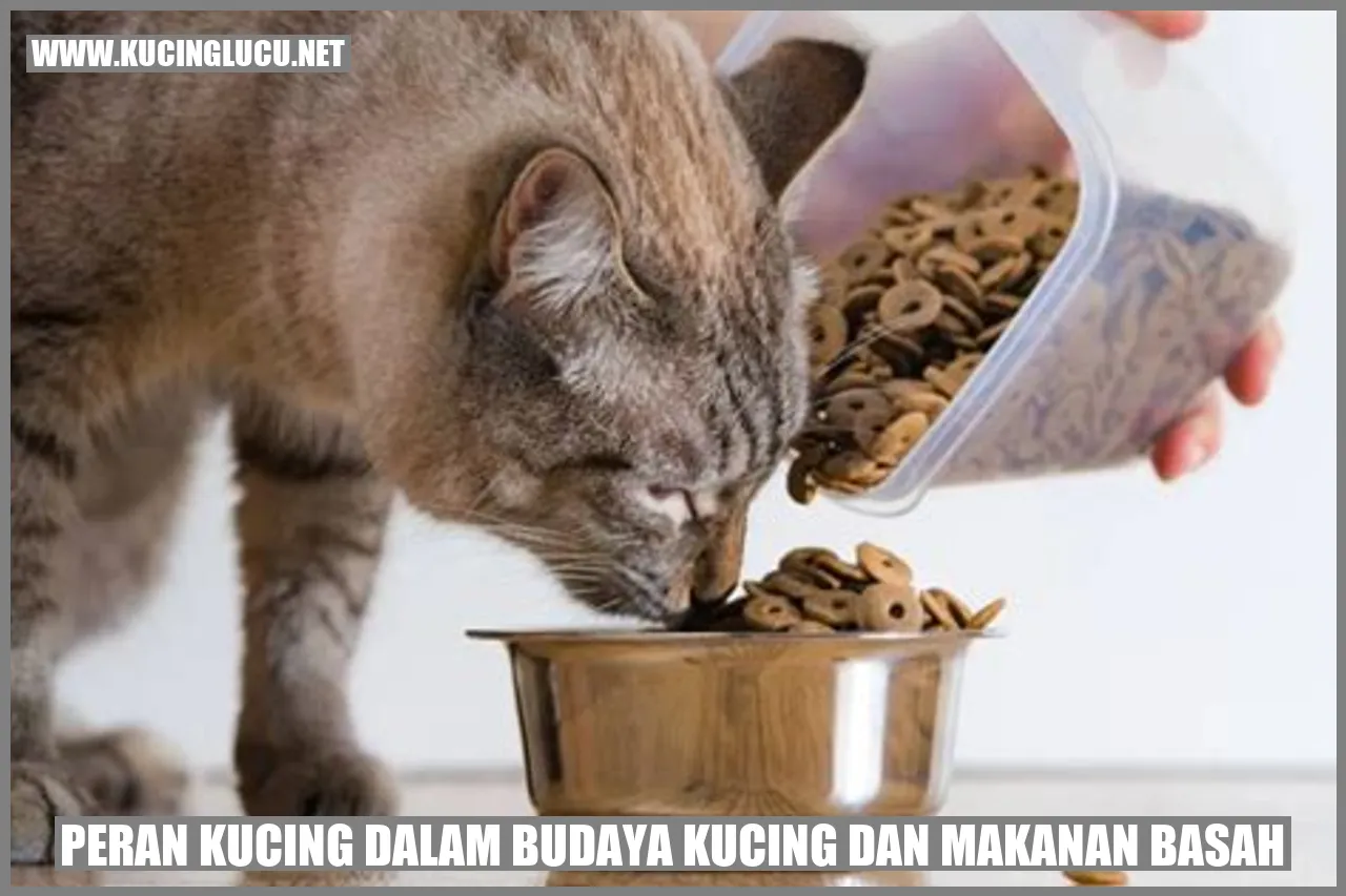 Gambar Kucing