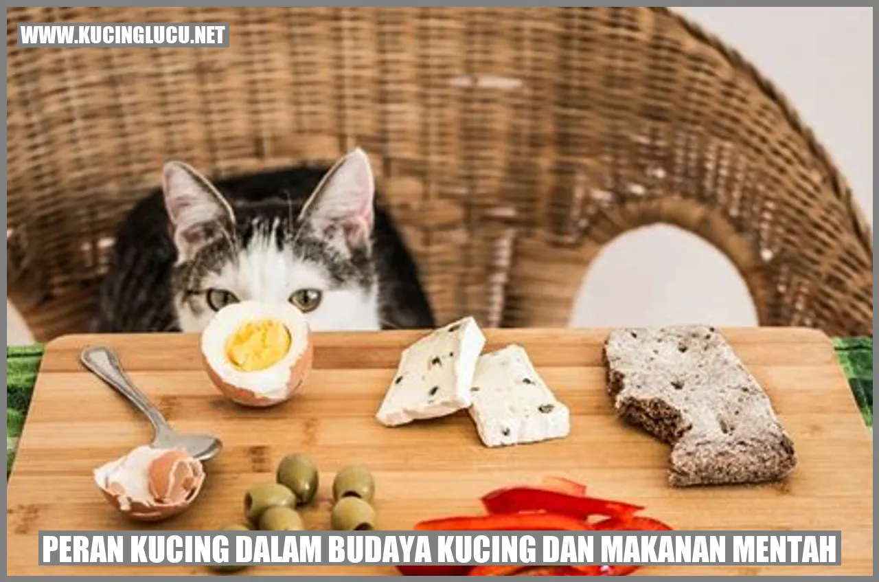 Kucing dalam Budaya Kucing dan Makanan Mentah