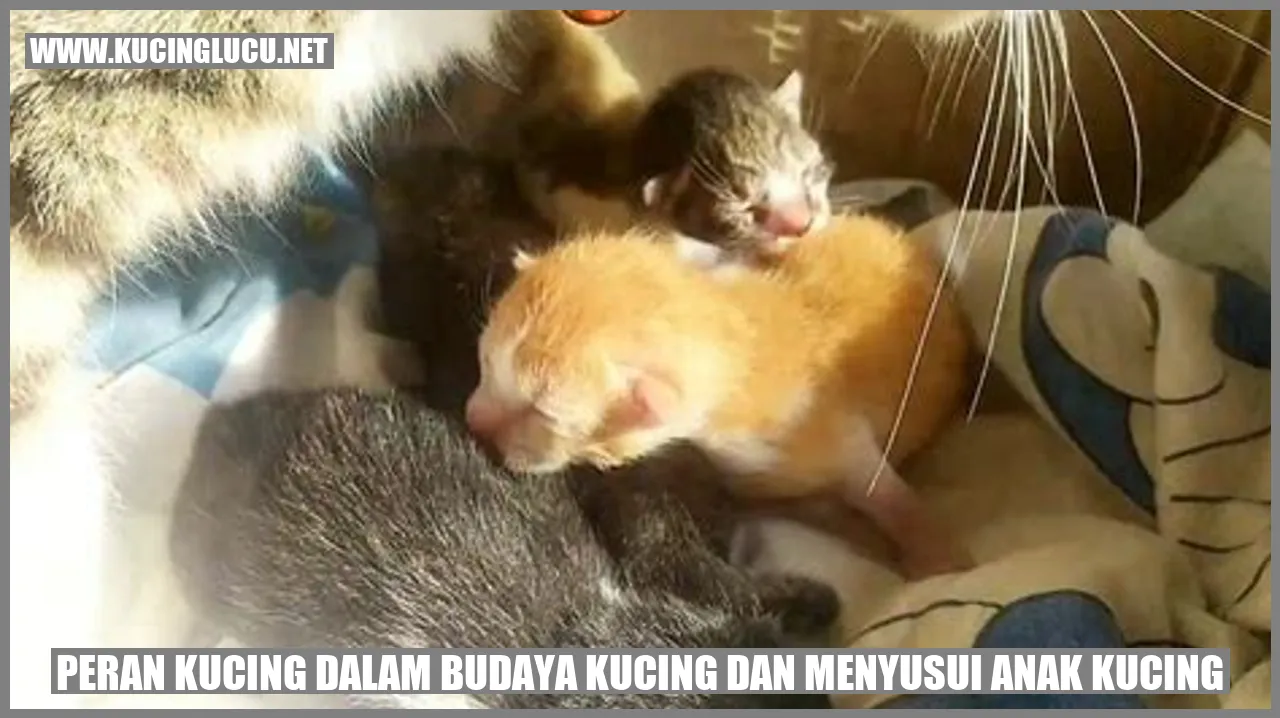 Kucing saat menyusui anaknya