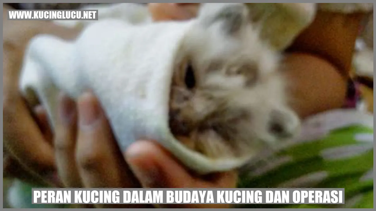 Peran Kucing dalam Budaya Kucing dan operasi