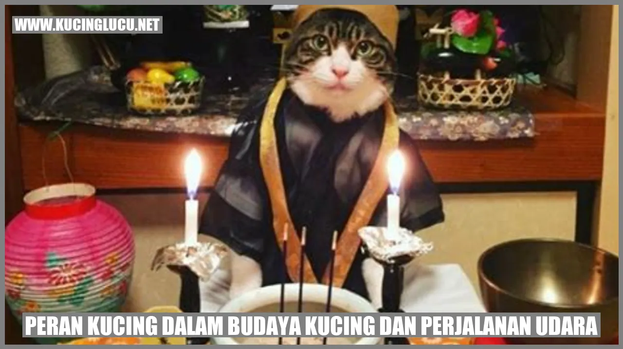 Kehadiran Kucing dalam Kultur Kucing dan Petualangan Udara