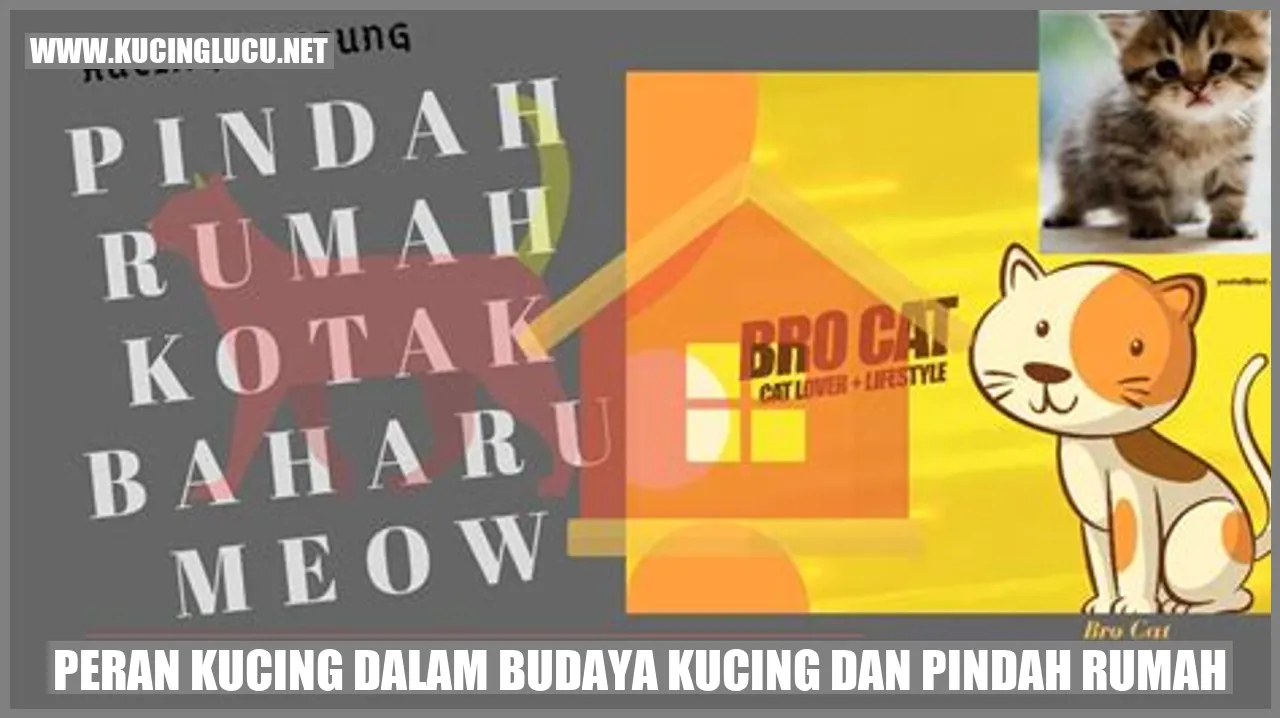 Peran Kucing dalam Budaya Kucing dan pindah rumah