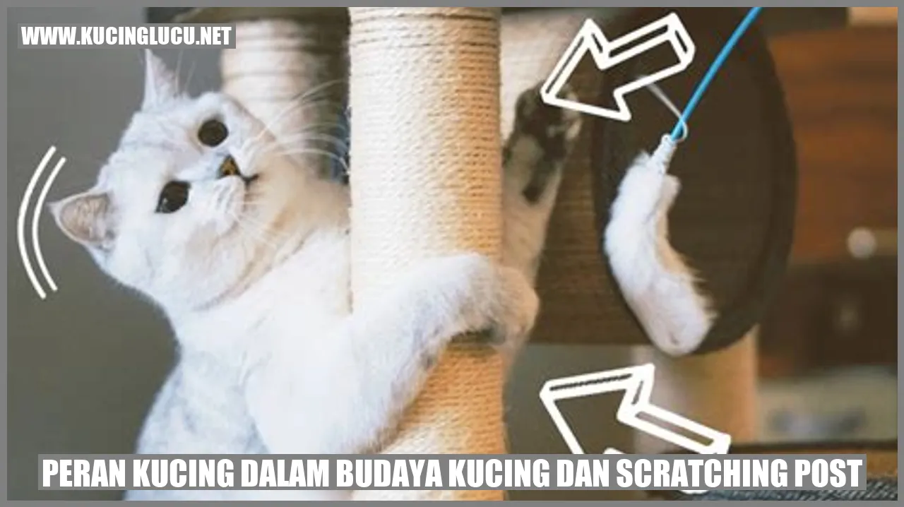 Gambar kucing yang menggunakan tiang garukan