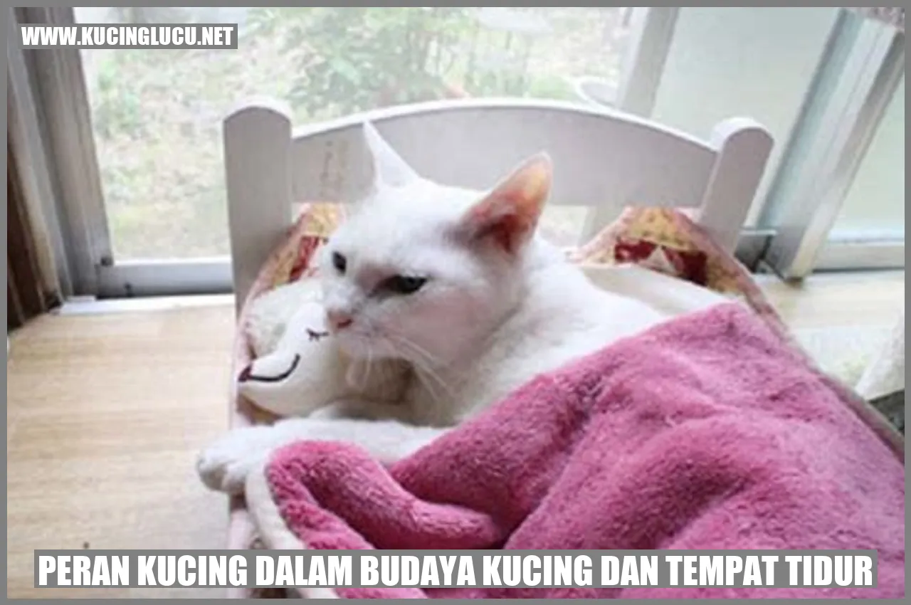 Peran Kucing dalam Budaya Kucing dan tempat tidur