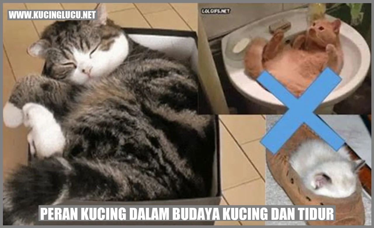 Peran Kucing dalam Budaya Kucing dan Tidur
