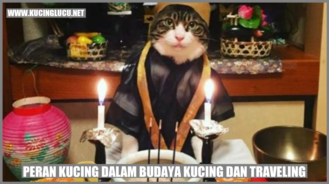 Kucing yang Menggemaskan