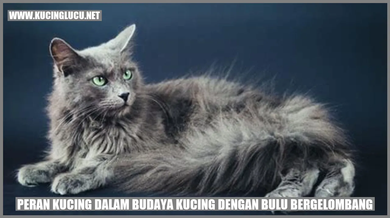 Kucing dengan Bulu Bergelombang