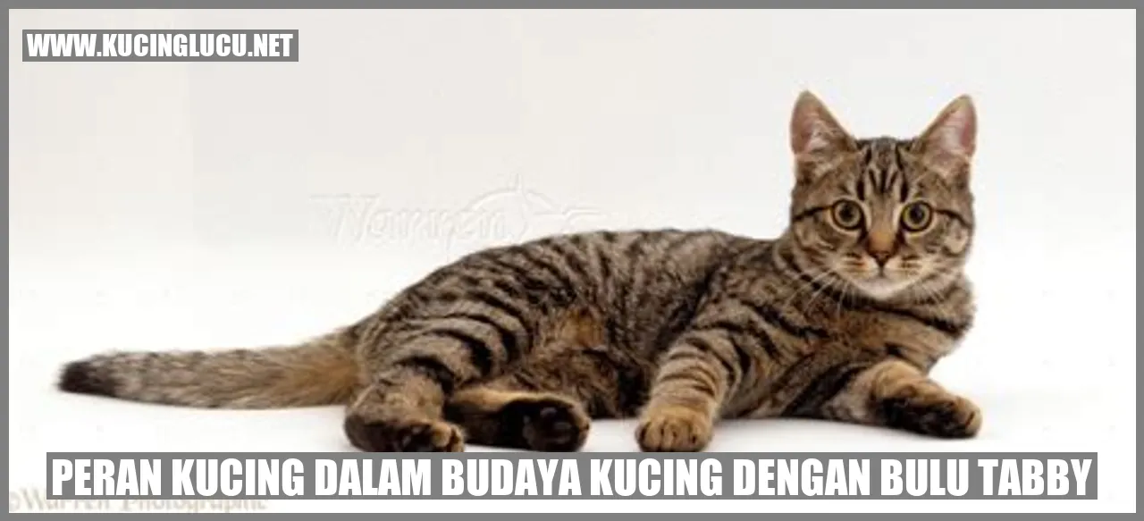 Kucing dengan Bulu Tabby