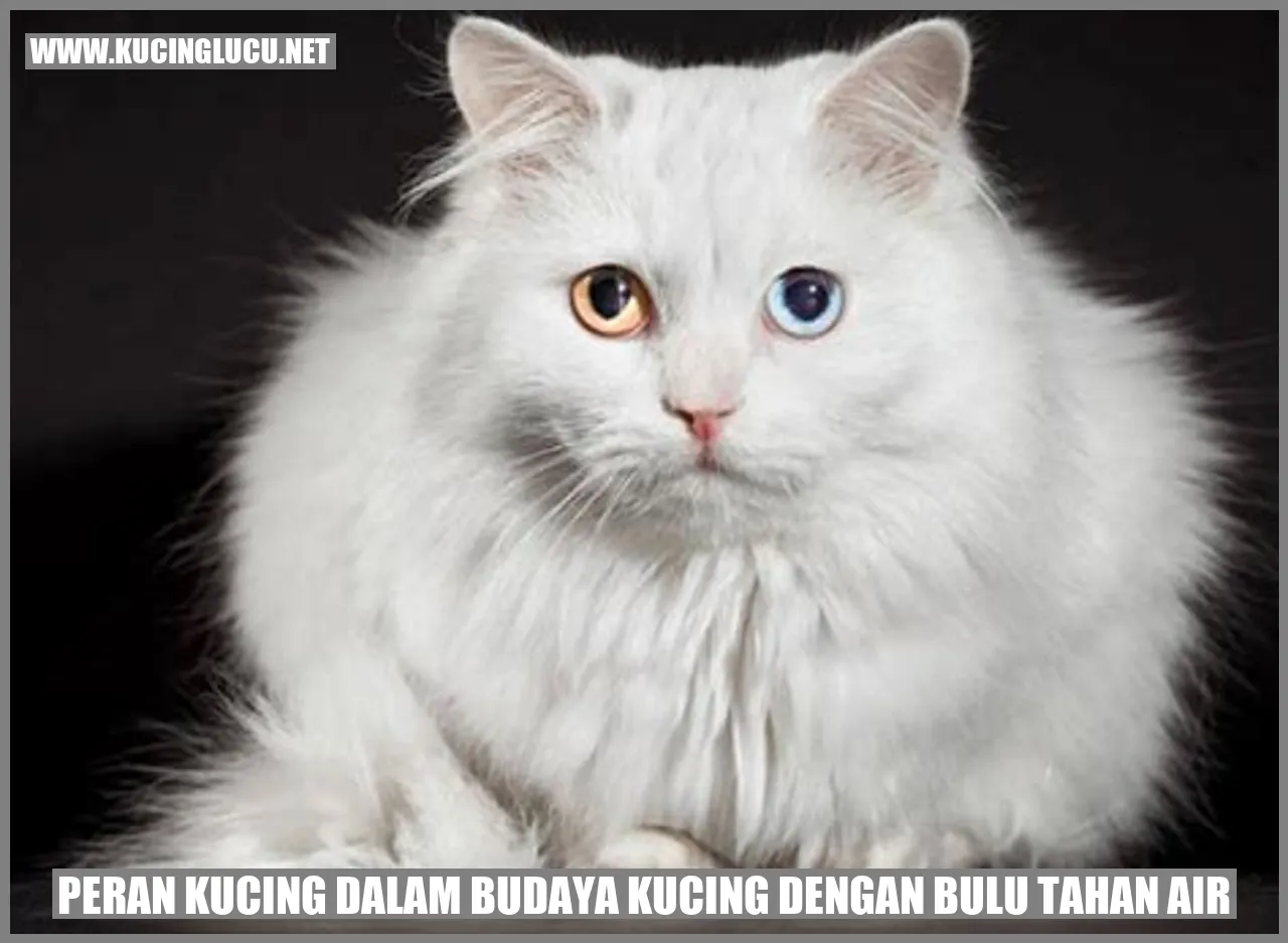 Kucing dengan bulu tahan air