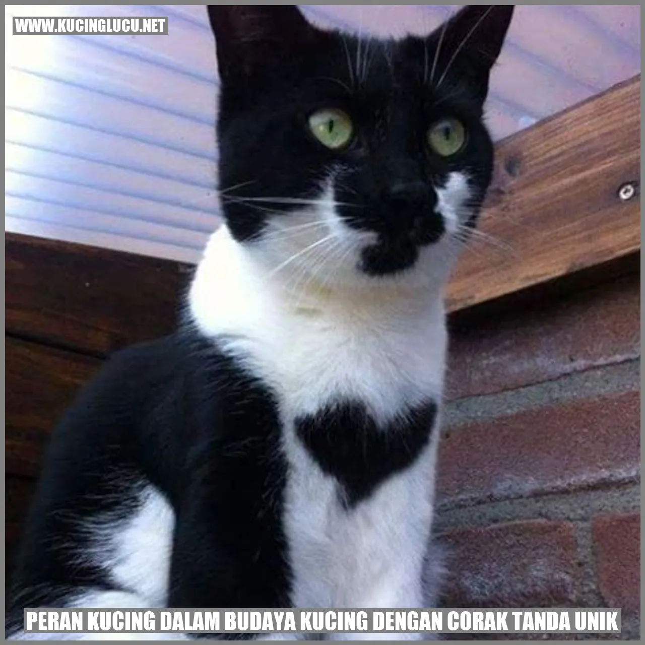 Peran Kucing dalam Budaya Kucing dengan Corak Tanda Unik