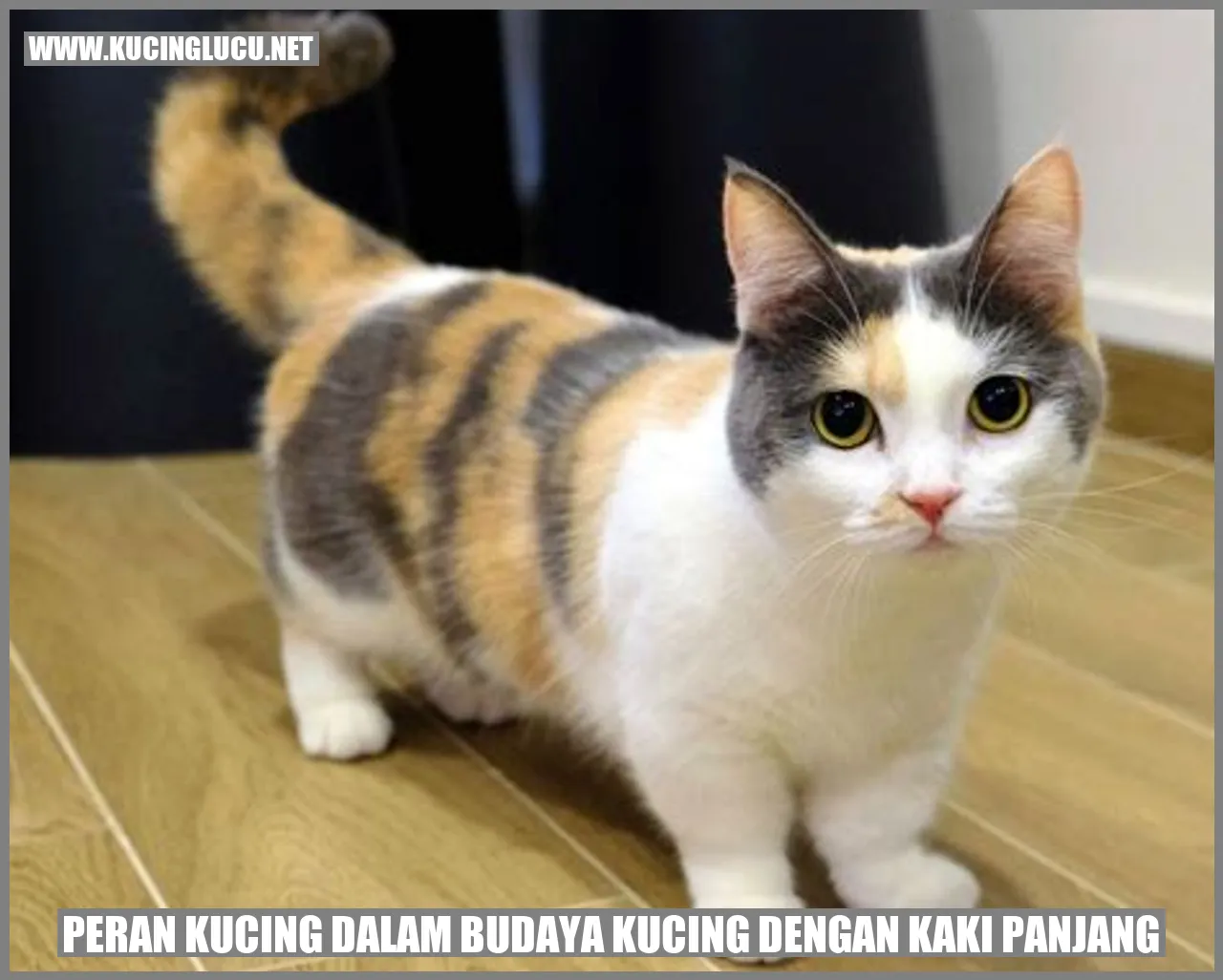 Peran Kucing dalam Budaya Kucing dengan Kaki Panjang